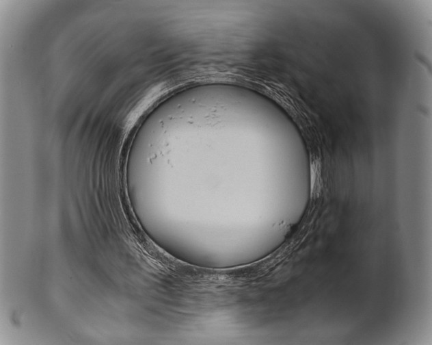 X0000101680195200807101152