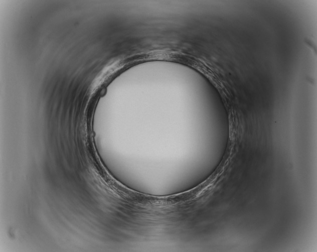 X0000101680198200807101152