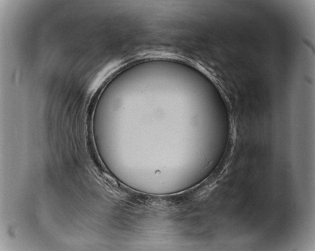 X0000101680199200807101152