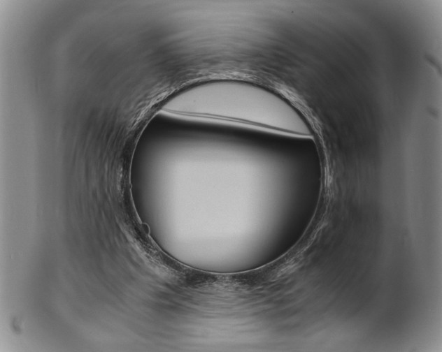 X0000101680201200807101152