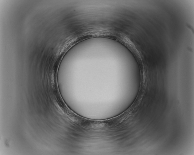 X0000101680202200807101152