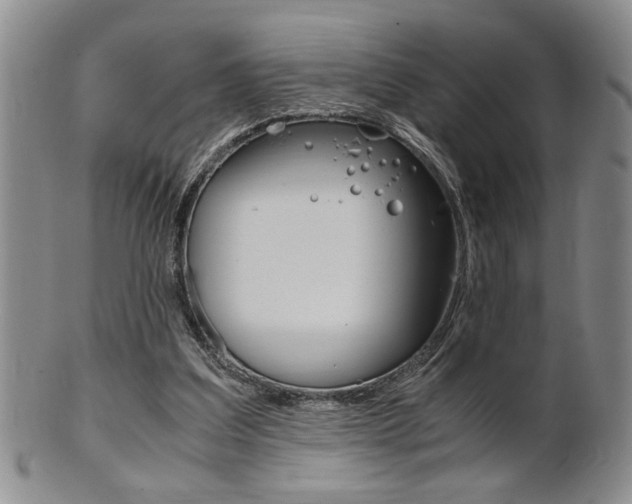 X0000101680203200807101152