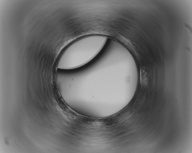 X0000101680204200807101152