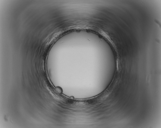 X0000101680205200807101152