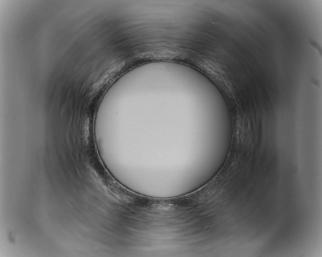 X0000101680206200807101152