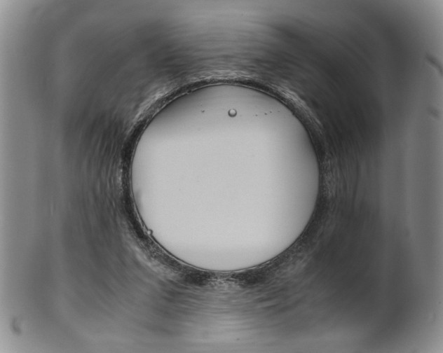 X0000101680207200807101152