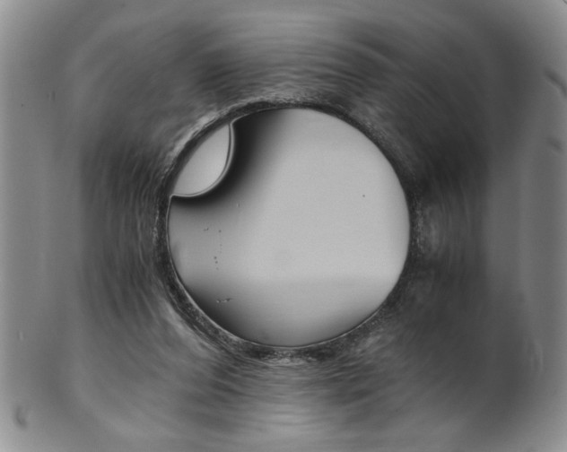 X0000101680208200807101152