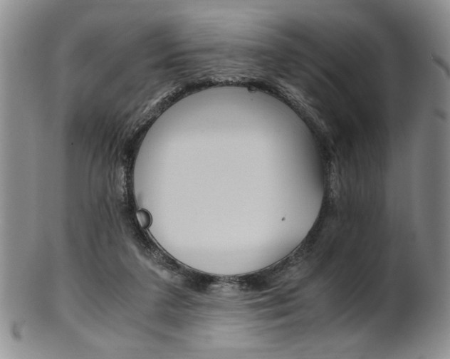 X0000101680211200807101152