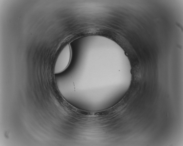 X0000101680216200807101152