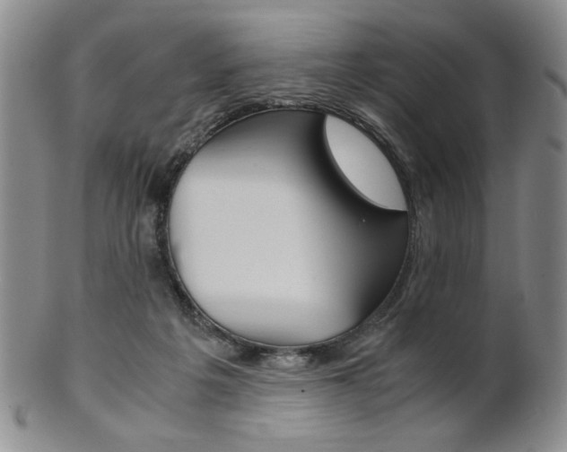 X0000101680217200807101152