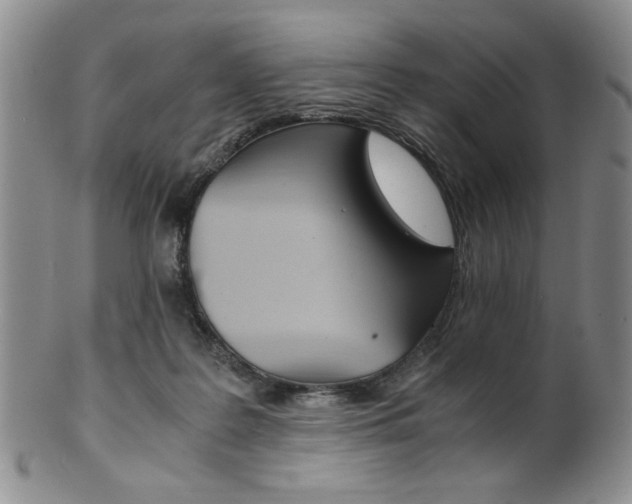 X0000101680219200807101152