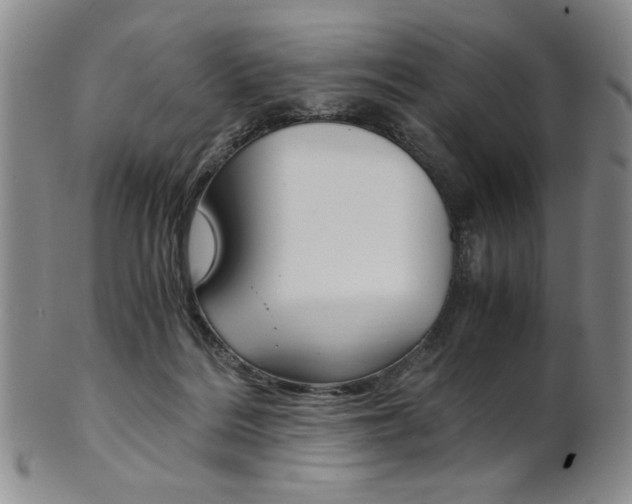 X0000101680220200807101152