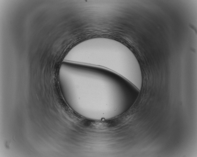 X0000101680221200807101152