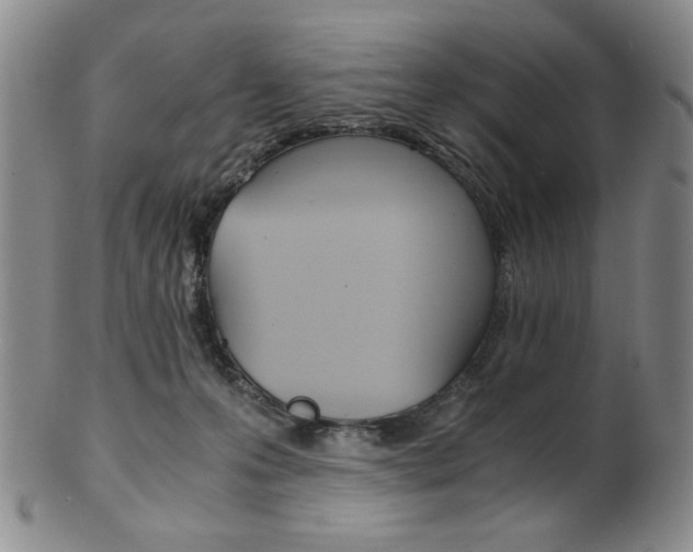 X0000101680223200807101152