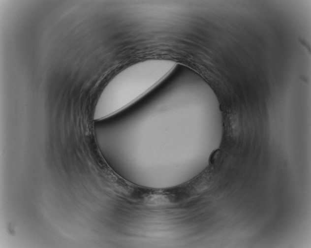 X0000101680224200807101152