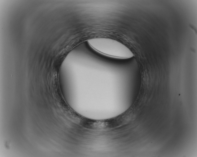 X0000101680225200807101152