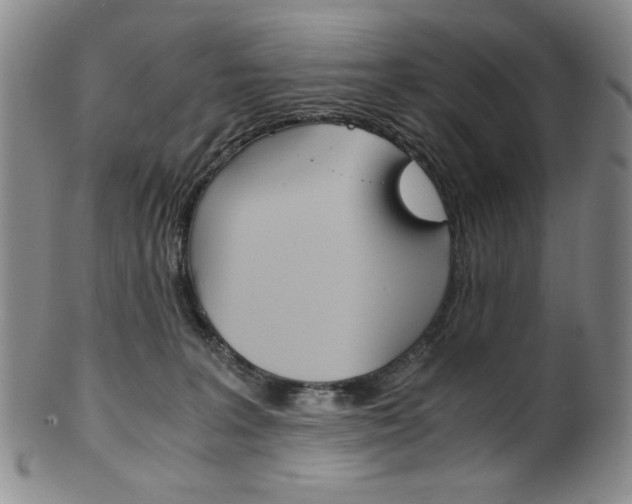 X0000101680227200807101152