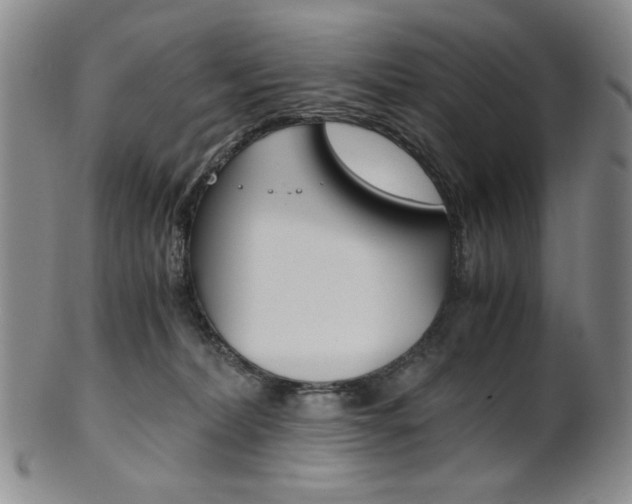 X0000101680228200807101152