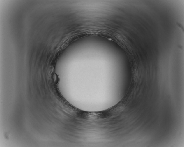 X0000101680229200807101152