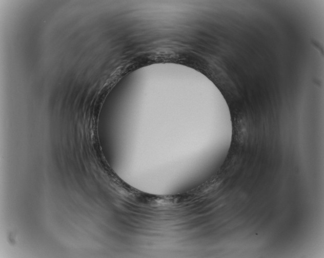 X0000101680232200807101152