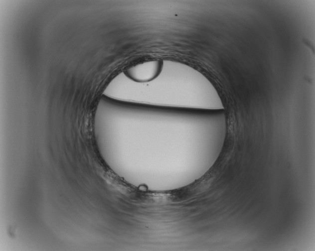 X0000101680233200807101152