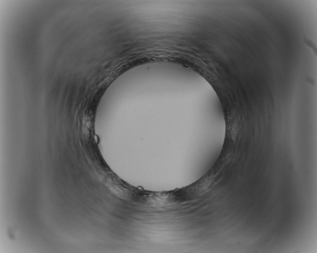 X0000101680235200807101152