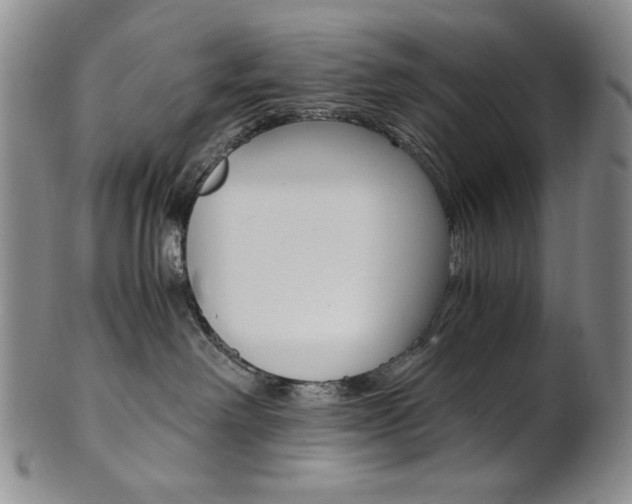 X0000101680238200807101152