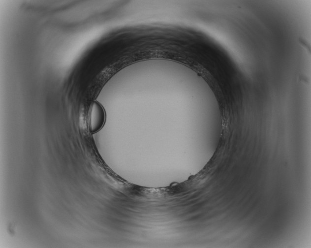 X0000101680239200807101152