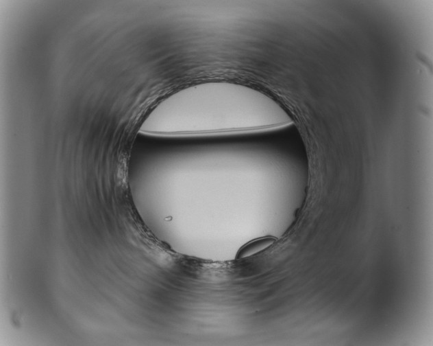 X0000101680240200807101152