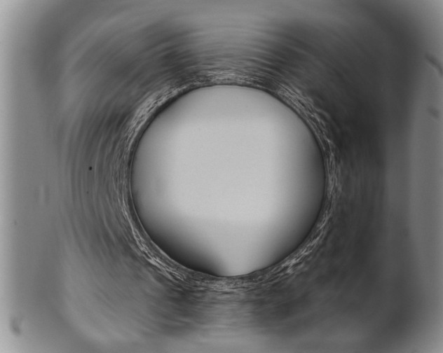 X0000101680241200807101151