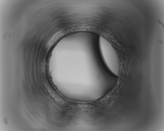 X0000101680242200807101151