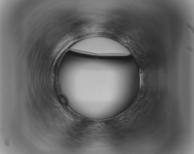 X0000101680243200807101151