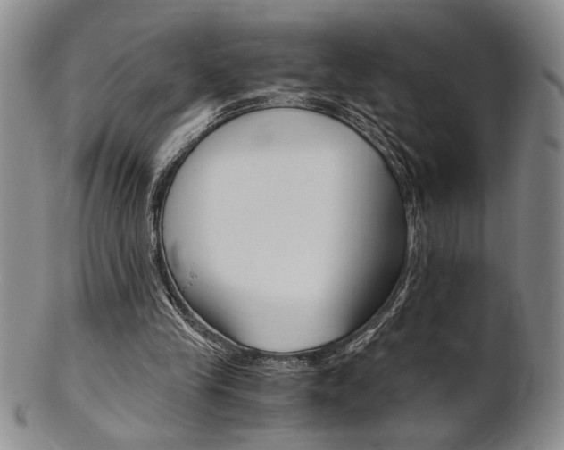 X0000101680245200807101151