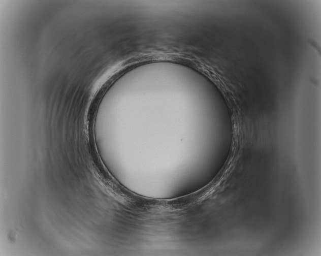 X0000101680246200807101151