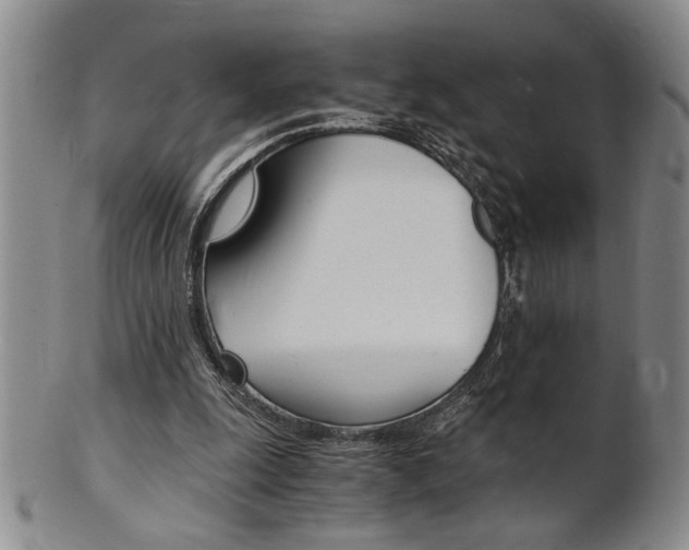 X0000101680247200807101151