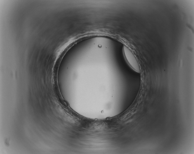 X0000101680248200807101151