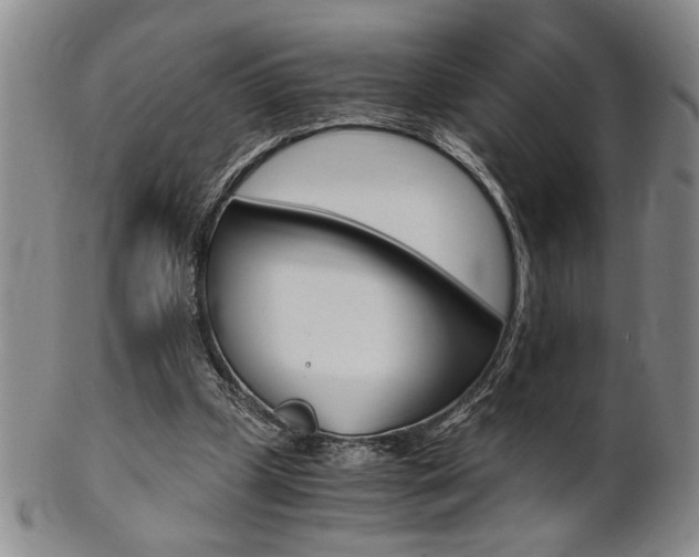 X0000101680249200807101151