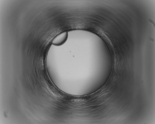 X0000101680251200807101151