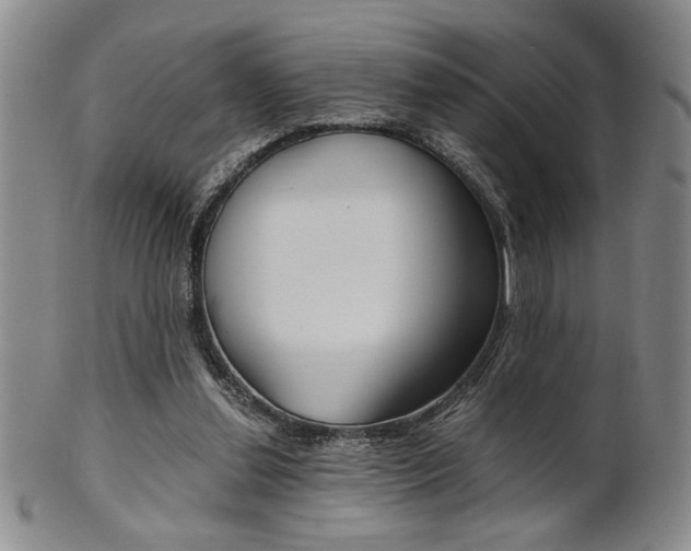 X0000101680252200807101151