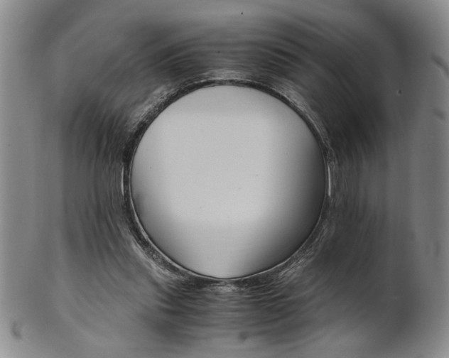 X0000101680253200807101151