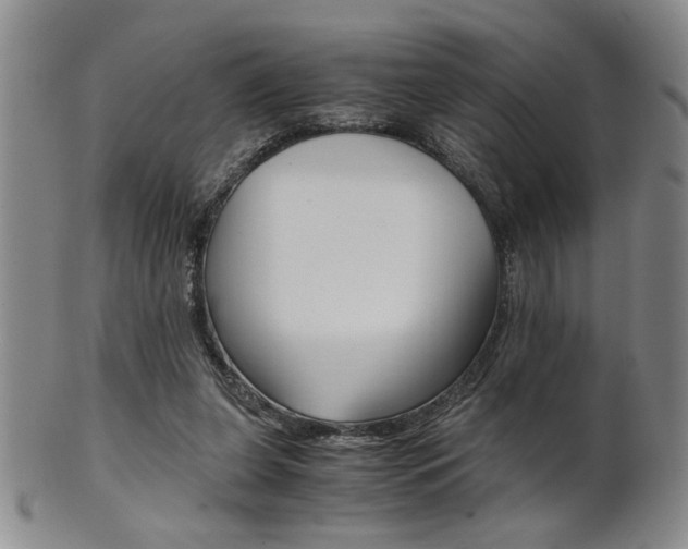 X0000101680255200807101151