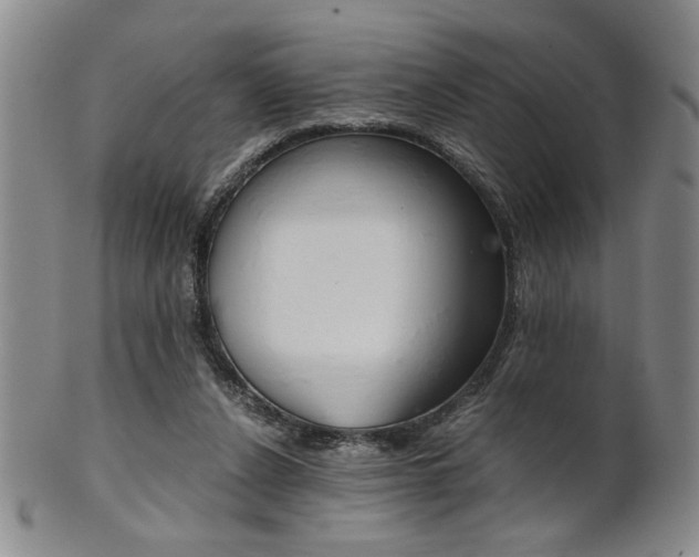 X0000101680256200807101151