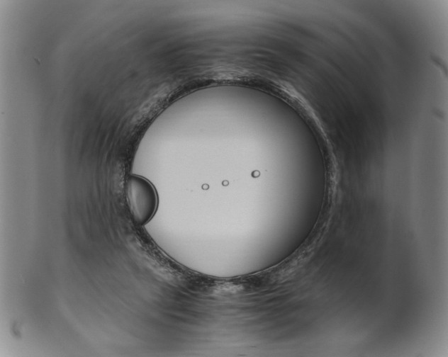 X0000101680257200807101151