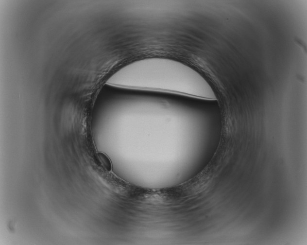 X0000101680259200807101151