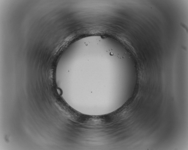 X0000101680260200807101151