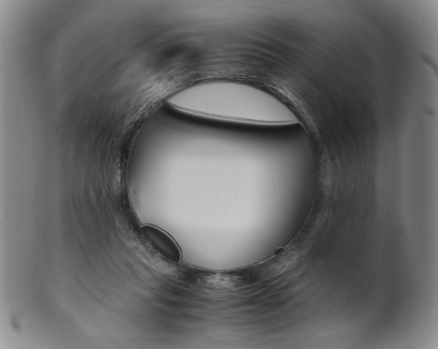 X0000101680261200807101151