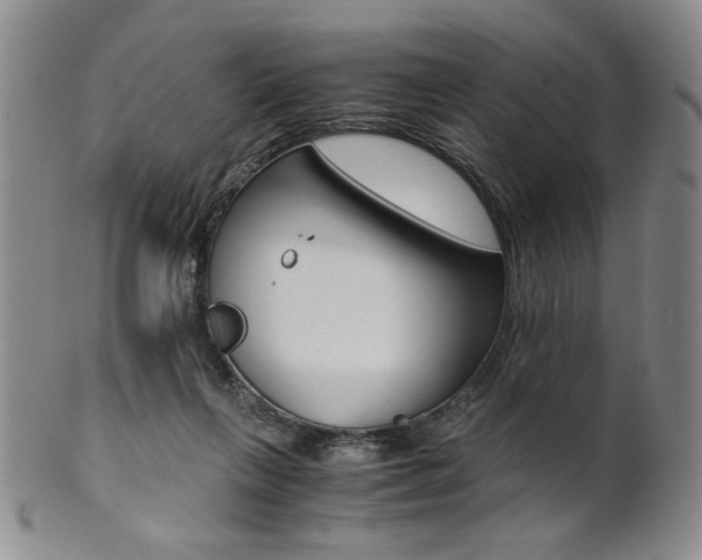 X0000101680263200807101151