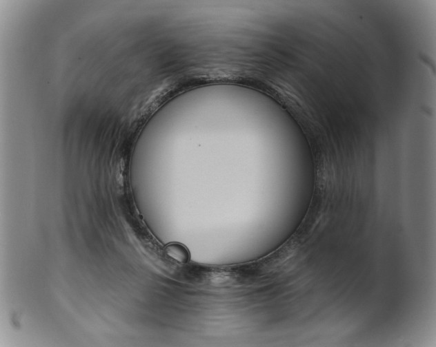 X0000101680264200807101151