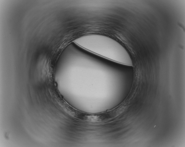 X0000101680265200807101151