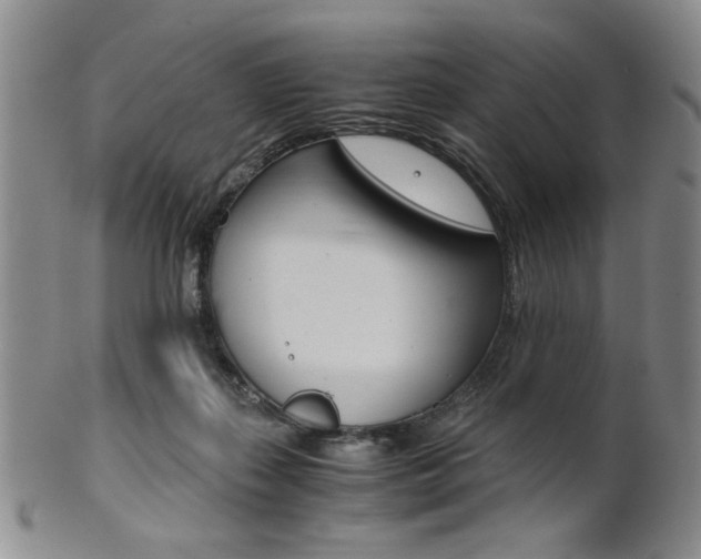 X0000101680267200807101151